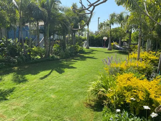 תחזוקת גינה